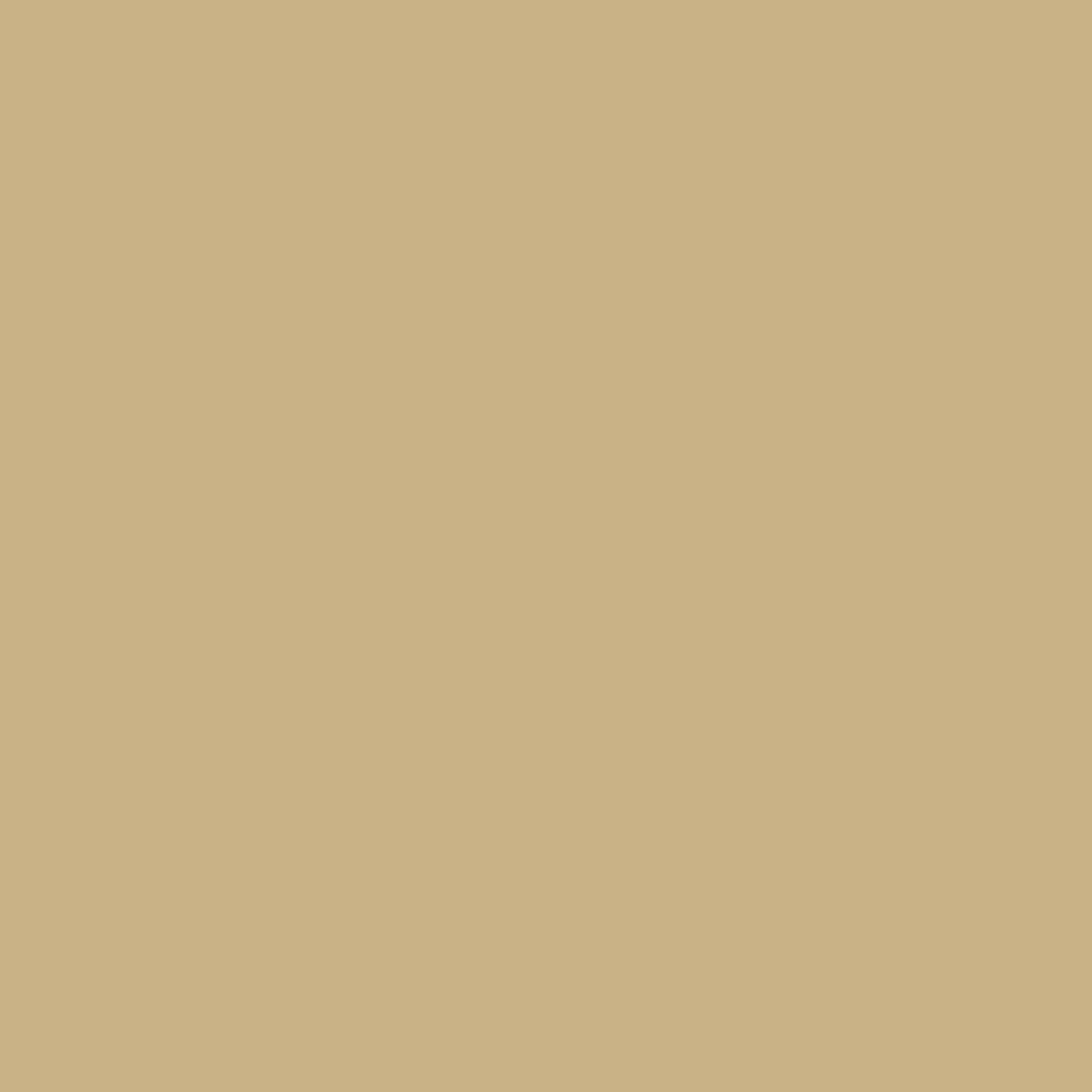 Caramel Laminated Lightweight Plywood