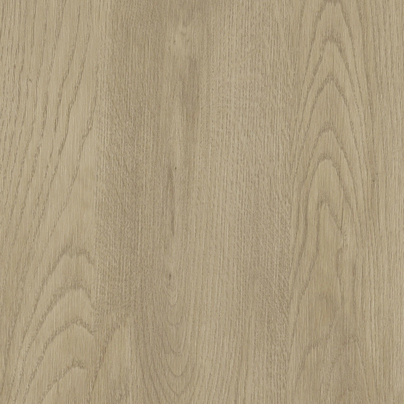 Amberes Oak Laminated Lightweight Plywood